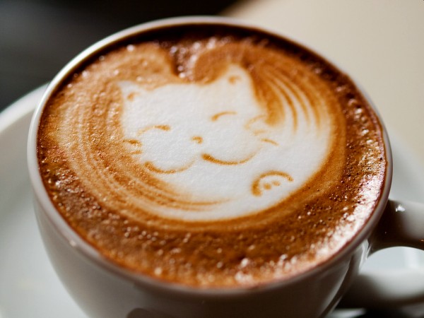 cappuccino a caff latte rozdl
